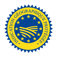 logo igp