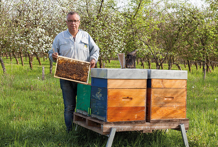 Producteur de Miel Alsace Laurent Lehr