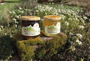 Miel d'Acacia et de Sapin Médaille d'Or IGP Alsace