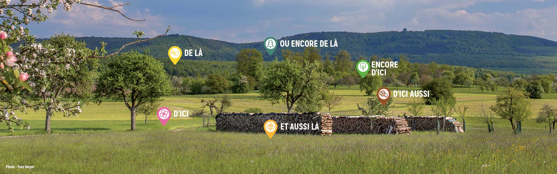 Slider originie miel alsace